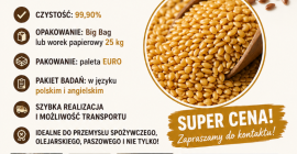 Siemię lniane brązowe i złote ilość 100-1000 t