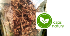 Jeżówka purpurowa Srzedam wysuszony korzeń jeżówki purpurowej (echinacea) Własna