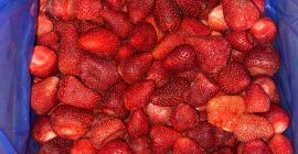 Firma Ezar Frozen Foods Europe (branch office producenta z