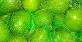 beznasienny Limonka z Egiptu, wysoka jakość