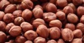 Orzechy laskowe, kalibracja 11–13 mm,mocno prażone Cena: 52,29 zł/kg,