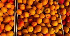 Hello, My name is Olga, fruit exporter from Moldova.