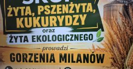 SKUP ŻYTA, PSZENŻYTA, KUKURYDZY oraz ŻYTA EKOLOGICZNEGO prowadzi GORZENIA
