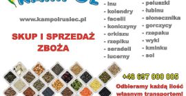 Firma Kampol kupi dowolne ilości: kminek, proso, groch, len,