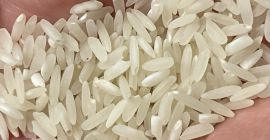 Long grain white rice 5% broken in 50kg bag