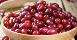 Zapraszam do zakupu owoc&oacute;w derenia. Owoce produkowane są naturalnie