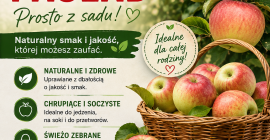 Oferuję świeże, soczyste i chrupiące jabłka odmiany Paulad –
