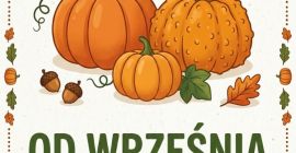 Co oferujemy w sprzedaży hurtowej (dostępność od września): •