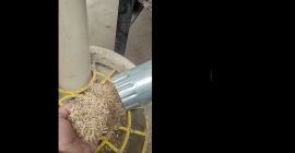 Kupię wapno jednoziarniste. Ilość około 100-200 ton. Nieobrane.
