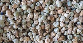 Posiadam na sprzedaż około 12 ton tegorocznego grochu odmiany