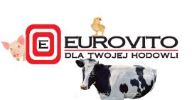 Firma Eurovito kupi całosamochodowe ilości kukurydzy. Zabieramy własnym transportem.