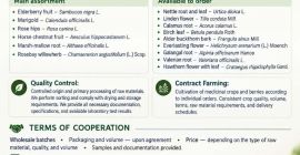 Reprezentuję ukraińską firmę agrotechniczną Galician Herbs. Specjalizujemy się w