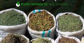 Polskie Zioła specialises in sourcing and supplying high-quality dried