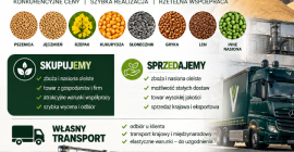 Zapraszamy do współpracy w skupie i sprzedaży nasion oleistych