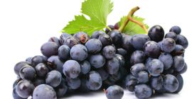 Sprzedam winogrona na wino - odszypułkowane w cenie -