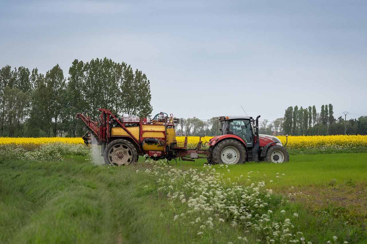Herbicydy na rzepak ozimy &ndash; dob&oacute;r substancji i terminu do chwast&oacute;w na polu